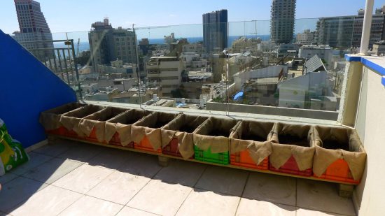 תשתית לגינה מבוססת על ארגזי פלסטיק משומשים מדופנים בבד יוטה, רגע לפני שתילה