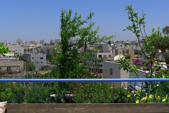 2 גגות לוהטים - הקמת גינת גג ברמה״ש