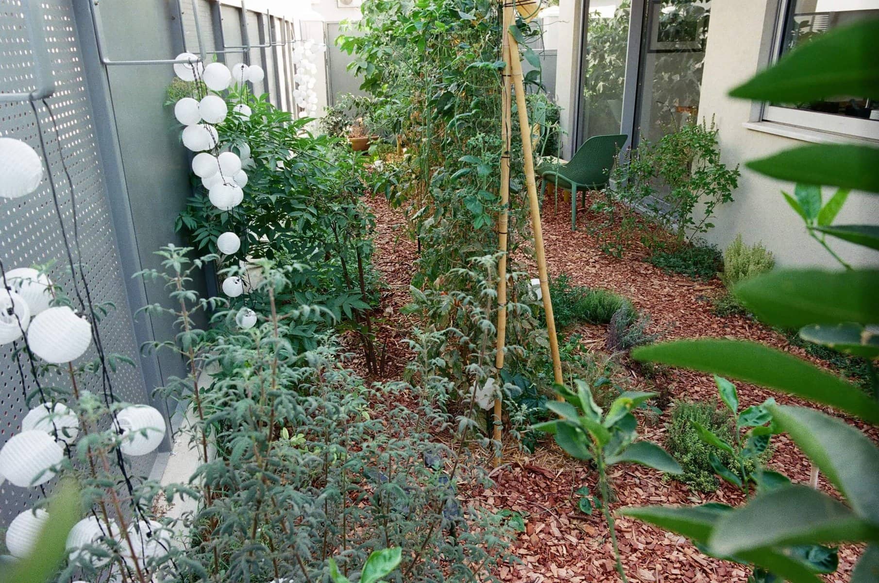 גינת מפלסים במרכז ת''א